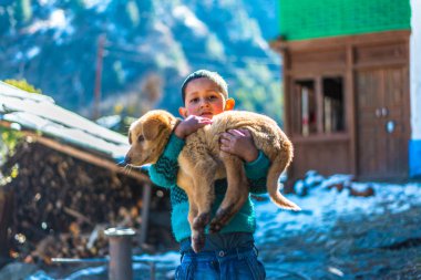 Kullu, Himachal Pradesh, Hindistan - 26 Ocak 2019 : Dağlarda köpekle oynayan mutlu çocuk