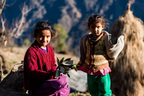 Kullu, Himachal Pradesh, Índia - 17 de janeiro de 2019: Retrato de menina na montanha, povo do Himalaia  - — Fotografia de Stock
