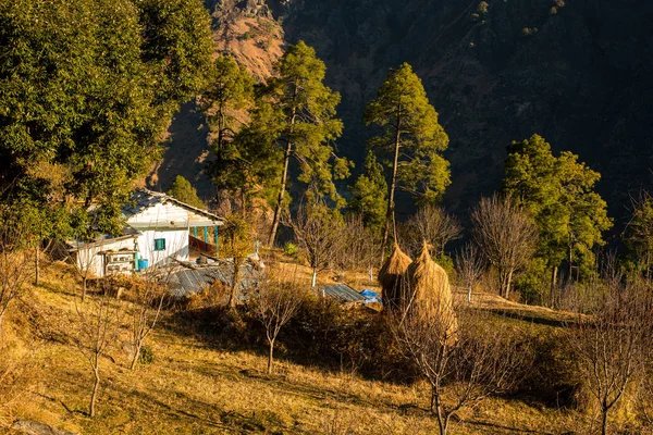 Foto di Farming in himalaya — Foto Stock