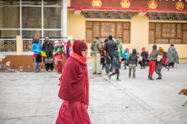 Spiti, Himachal Pradesh, Hindistan - 24 Mart 2019 : Himalayalar'da lama fotoğrafı