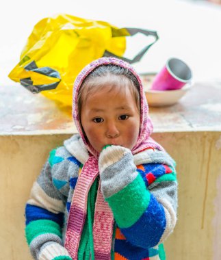 Spiti, Himachal Pradesh, Hindistan - 24 Mart 2019 : Spiti'deki kızın fotoğrafı