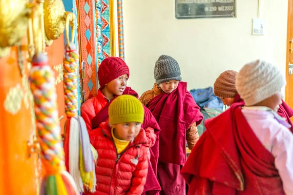 Spiti, Himachal Pradesh, Hindistan - 24 Mart 2019 : Himalayalar'da Çocuk lama