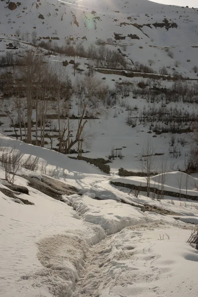 Trek en inviernos - Hierba seca en spiti de invierno en himalayas — Foto de Stock