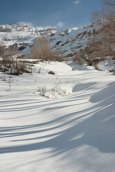 Paisaje en invierno en himalayas - India — Foto de Stock