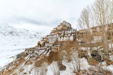 Himalayalar'daki key gompa Tibet manastırı. Spiti vadisi, Himachal Pradesh, Hindistan