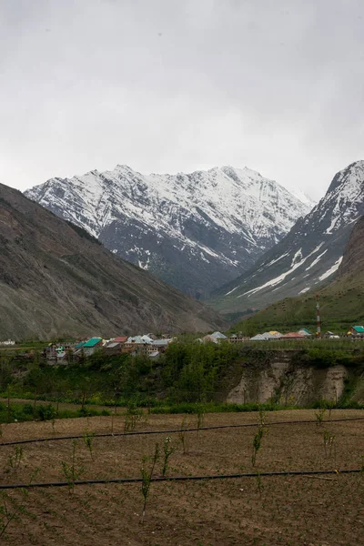 stock image Beautiful village in Himalayas, Lahual Himachal