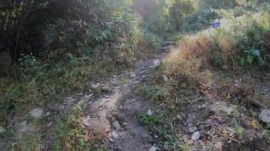 Dzukou Vadisi Turu başlıyor.