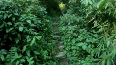 Nagaland 'da Dzukou Vadisi Gezisi