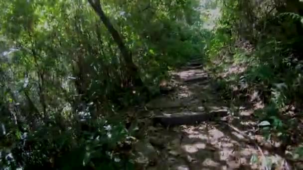 Трек Долине Дакоу Нагаленде — стоковое видео