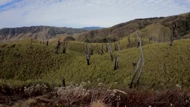 Gyönyörű Dzokou Völgy Nagaland — Stock videók