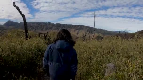 Voyageur Dans Vallée Dzokou Nagaland — Video