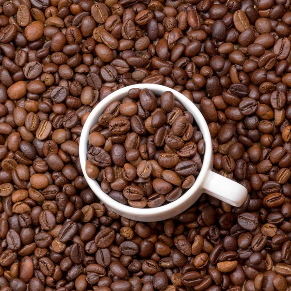 Photos Arabica Mocha Coffee Coffee Beans Uses Design Marketing Advertising — Stock Photo, Image