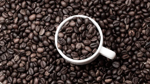 Photos Arabica Mocha Coffee Coffee Beans Uses Design Marketing Advertising — Stock Photo, Image