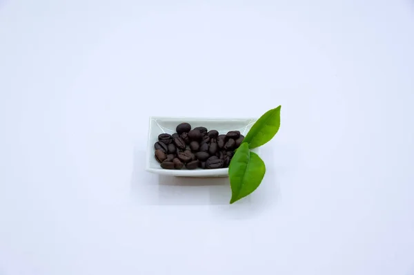 Arabica and mocha coffee beans for design, marketing, advertising