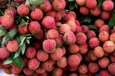 Meyve içinde belgili tanımlık çarşı: avokado, magos, guavas, ananas, rambutan, Güneydoğu Asya tropik..... lichi