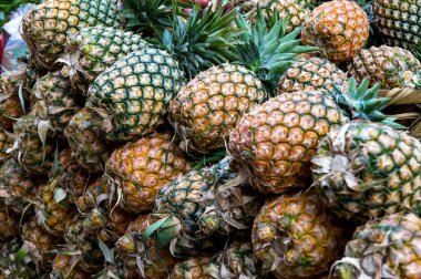 Meyve içinde belgili tanımlık çarşı: avokado, magos, guavas, ananas, rambutan, Güneydoğu Asya tropik..... lichi