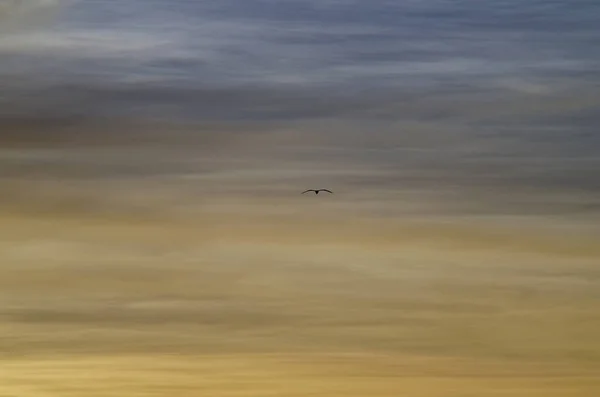 Лучший Пейзаж Небо Облака Природа Восходе Закате — стоковое фото