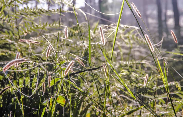 Nejkrásnější Krajina Východ Slunce Západ Slunce Mraků Obloha — Stock fotografie