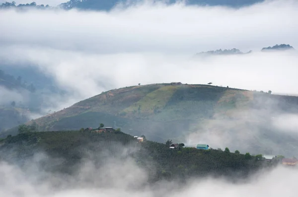 高原上的大雾 越南的大叻地主 — 图库照片