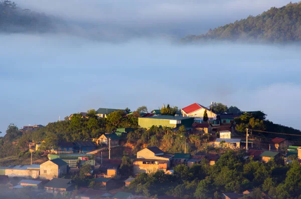 Der Nebel Auf Der Hochebene Dalat Hochland Vietnam — Stockfoto