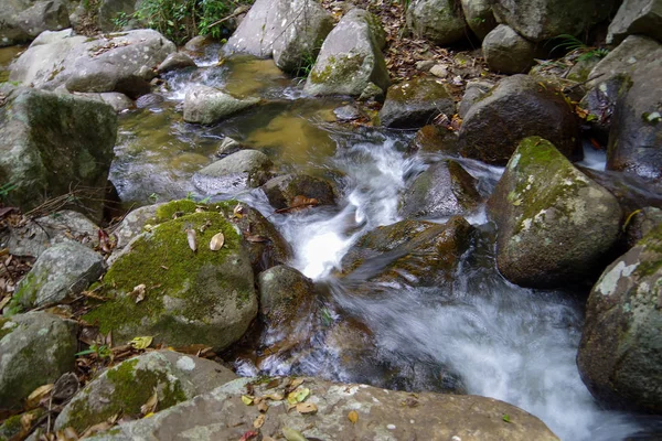 Pequeño Arroyo Selva Tropical Constituye Esas Cascadas Pequeñas Pero Muy — Foto de Stock
