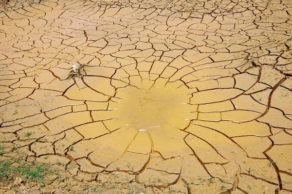 気候の影響を変更 作られた乾燥した土地 水の不足 — ストック写真