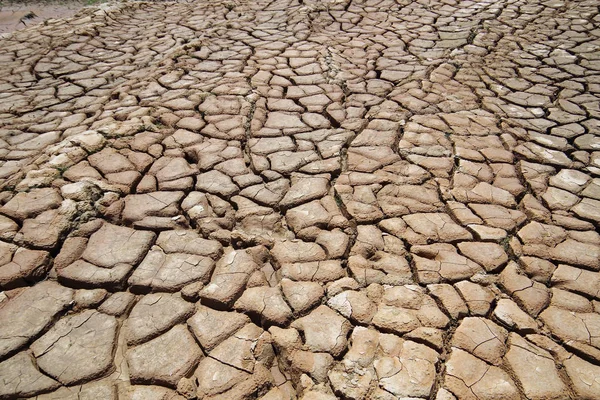 the impact of climate change, made dry land, water shortages