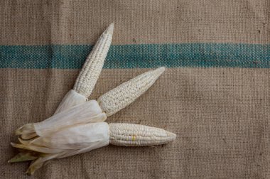 Mısır, Mısır kulak veya Mısır çiftlik, taze yeşil bitkiler büyüyor, Mısır Mısır çiçekler, Mısır fasulye, Mısır meyve ve Mısır ürünleri. Tarımsal üretim parçası.