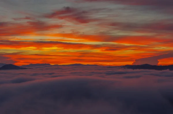 Fondo Magia Densa Niebla Cielo Las Nubes Amanecer Unas Cuantas — Foto de Stock