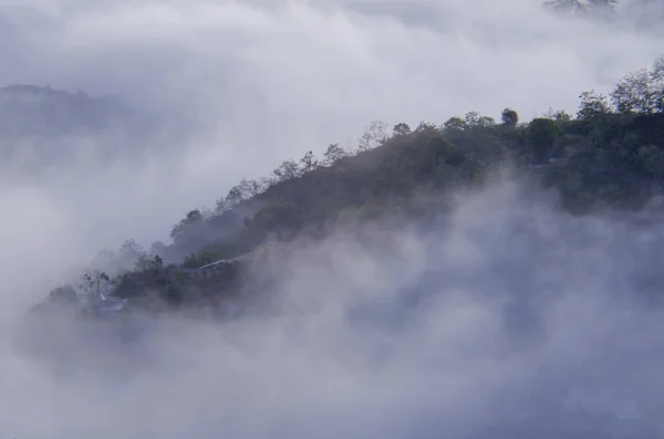 Fundo Com Densa Neblina Cobrir Fazendas Florestas Amanhecer Uso Para — Fotografia de Stock