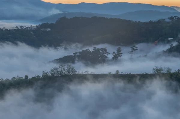 背景与浓雾覆盖农场和森林在黎明 用于广告 — 图库照片