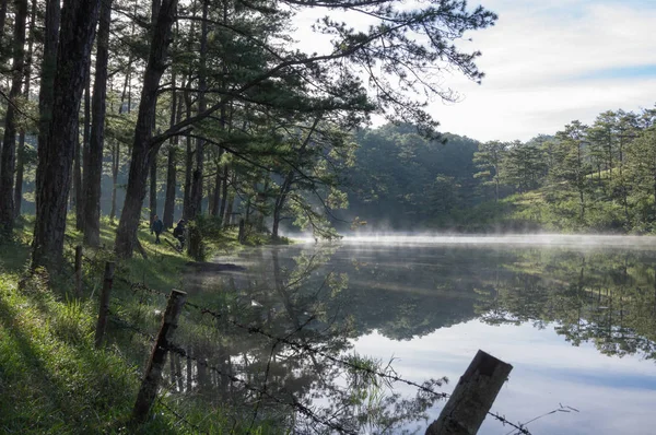 Pine Forest Reflectie Het Meer Bij Zonsopgang Foto Gebruiken Voor — Stockfoto