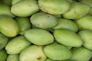 Pazarlama, iş ve yazdırma tropik, resim kullanmak için tasarım, reklam, yetiştirilen mango meyve