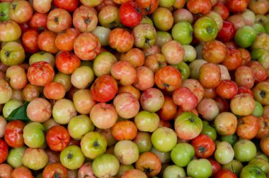 Pazarlama, iş ve yazdırma tropik, resim kullanmak için tasarım, reklam, yetiştirilen kiraz veya kırmızı meyve