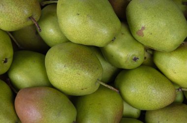 Pazarlama, iş ve yazdırma tropik, resim kullanmak için tasarım, reklam, yetiştirilen yeşil armut meyve ile arka plan