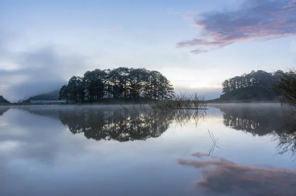 Pinheiros Ilha Floresta Arbustos Deserção Lago Amanhecer Com Magia Céu — Fotografia de Stock