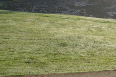 Arka plan güzel yeşil çayır ve sarı güneş, sis kapağı çim hill ile. Kullanılan golf sahası tasarım fikirleri, seyahat, reklam fotoğraf