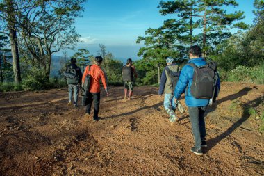 Dalat City, vietnam, keşif hiking, tırmanma, çam ormanı arkadaşları ile yürüme, sırt çantasıyla, flora ve fauna hakkında yeni yerler arıyorum