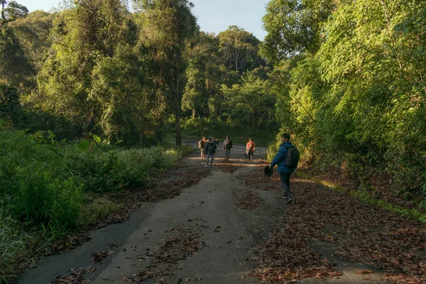 Descoberta Cidade Dalat Vietnam Caminhadas Escalada Caminhadas Com Amigos Floresta — Fotografia de Stock