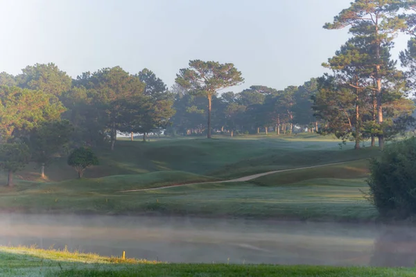 Doğa ile sihirli yapraklara, Güneş, ışık ve yeşil ot, çayır. Fotoğraf kullanın fikir tasarımında golf için temiz çevre