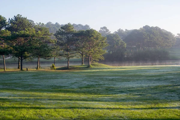 Doğa ile sihirli yapraklara, Güneş, ışık ve yeşil ot, çayır. Fotoğraf kullanın fikir tasarımında golf için temiz çevre