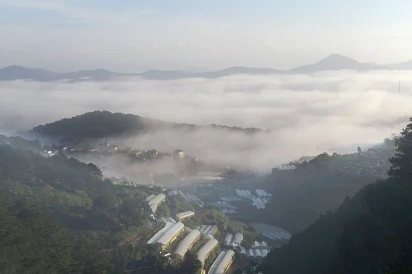 山顶山 浓雾覆盖群山 背景为蓝天 清新空气和黎明薄雾 — 图库照片