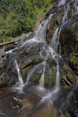 Küçük su ile hafif ve uzun pozlama sihirli orman hizaya girin. Hight kalite fotoğraf kullanımı baskı, reklam, tasarım ve daha fazlası için