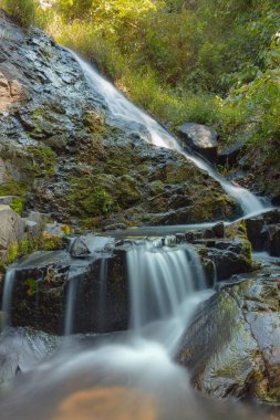 Küçük su ile hafif ve uzun pozlama sihirli orman hizaya girin. Hight kalite fotoğraf kullanımı baskı, reklam, tasarım ve daha fazlası için