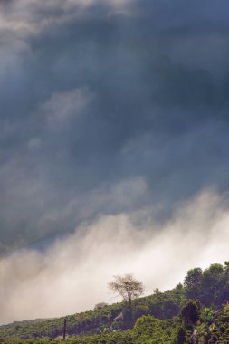 En iyi fotoğraf güneş ışınları ile doğanın şafakta güneş ışığı orman ve küçük evler