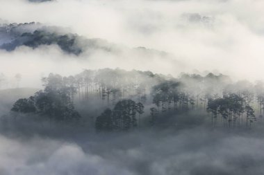 En iyi fotoğraf güneş ışınları ile doğanın şafakta güneş ışığı orman ve küçük evler