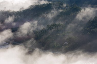 En iyi fotoğraf güneş ışınları ile doğanın şafakta güneş ışığı orman ve küçük evler
