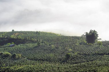 Yoğun sis ve magic sunrise adlı ışık arka plan. Kahve çiftlik ve güzel küçük evleri parlak güneş ışığı, en iyi resmi kullanım için baskı, reklam, Tasarım Dergisi ve daha fazlası