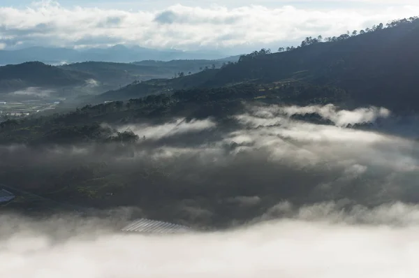 Background with dense fog, mist and sun rays in the rainforest at sunrise