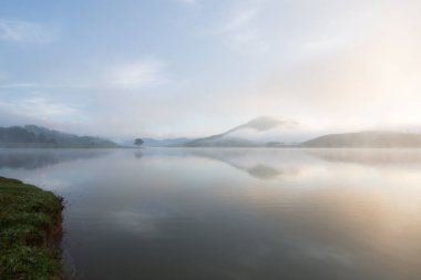 Yalnız çam ağacı yansıma gölde yoğun sis ve sihirli gökyüzü ve bulutlar arka plan ile şafak